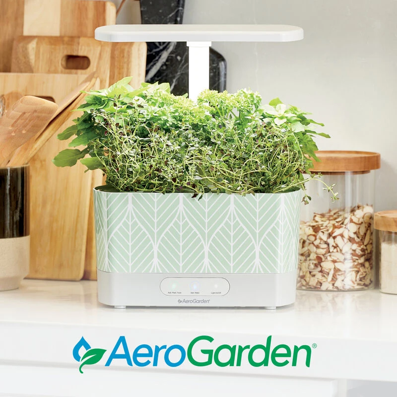 Harvest Garden Wraps, Pattern Theme - Image 7