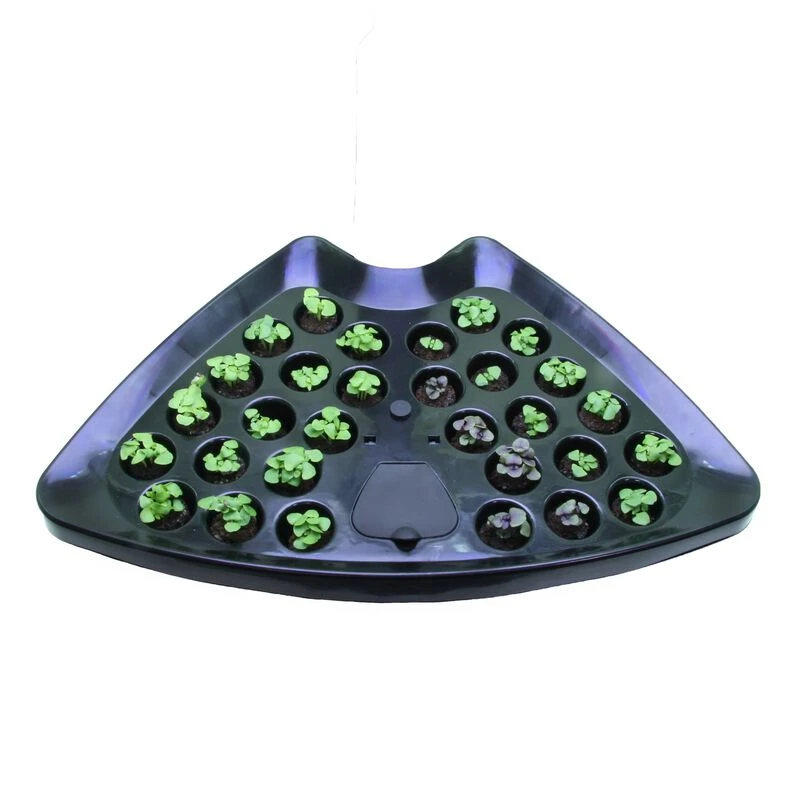 Seed Starting System For Classic 6 AeroGarden - Image 2