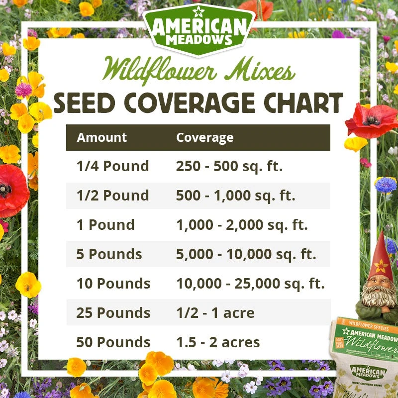 Native Northeast Wildflower Seed Mix - Image 6