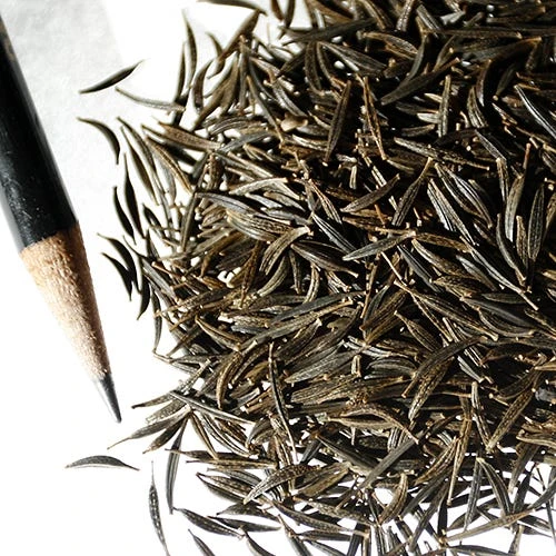 Cosmos Seeds - Image 2