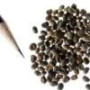 Russell Lupine Seed Mix