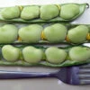 Broad Windsor Fava Bean
