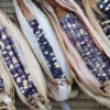 Cherokee White Eagle Dent Corn