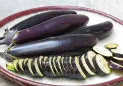 Poamoho Dark Long Eggplant