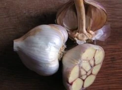 Nootka Rose Silverskin Softneck Garlic
