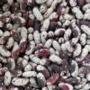 Jacob's Cattle (Trout) Bush Dry Bean