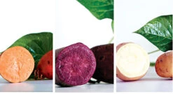 Sweet Potato Collection, Orange, White & Purple