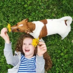 No Mow Lawn & Microclover Seed Mix