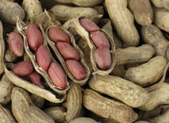 Carwile's Virginia Peanut