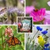 Pollinator Wildflower Seed Patches