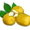 Keuka Gold Potato