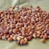 Iron And Clay Southern Pea (Cowpea)