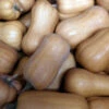 South Anna Butternut Winter Squash