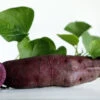 All Purple Sweet Potato