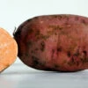 Beauregard Sweet Potato