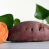 Carolina Ruby Sweet Potato