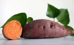 Carolina Ruby Sweet Potato